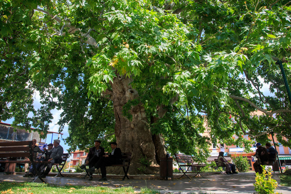 Aglasun